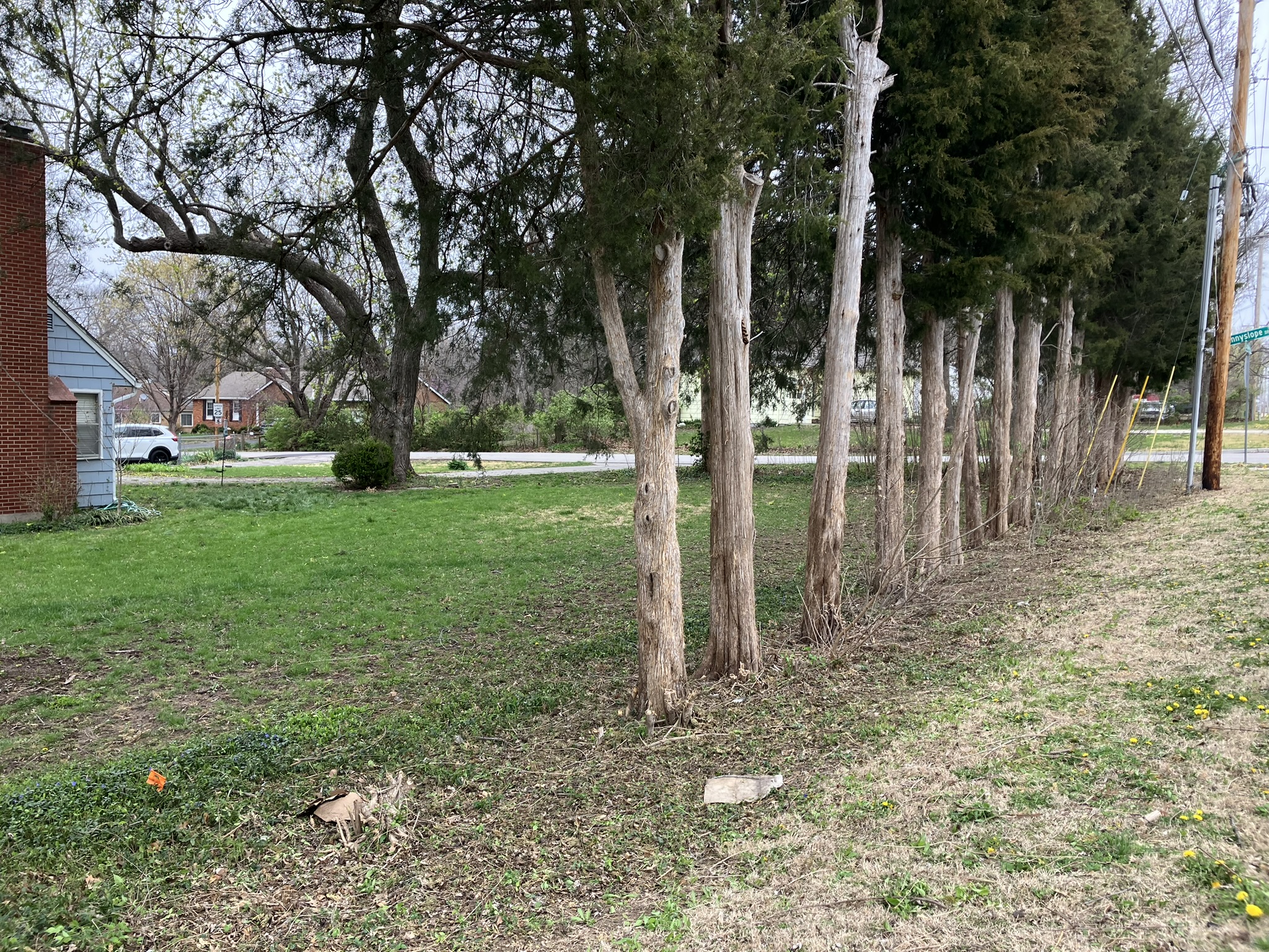 Fenceline clean and open after brush clearing