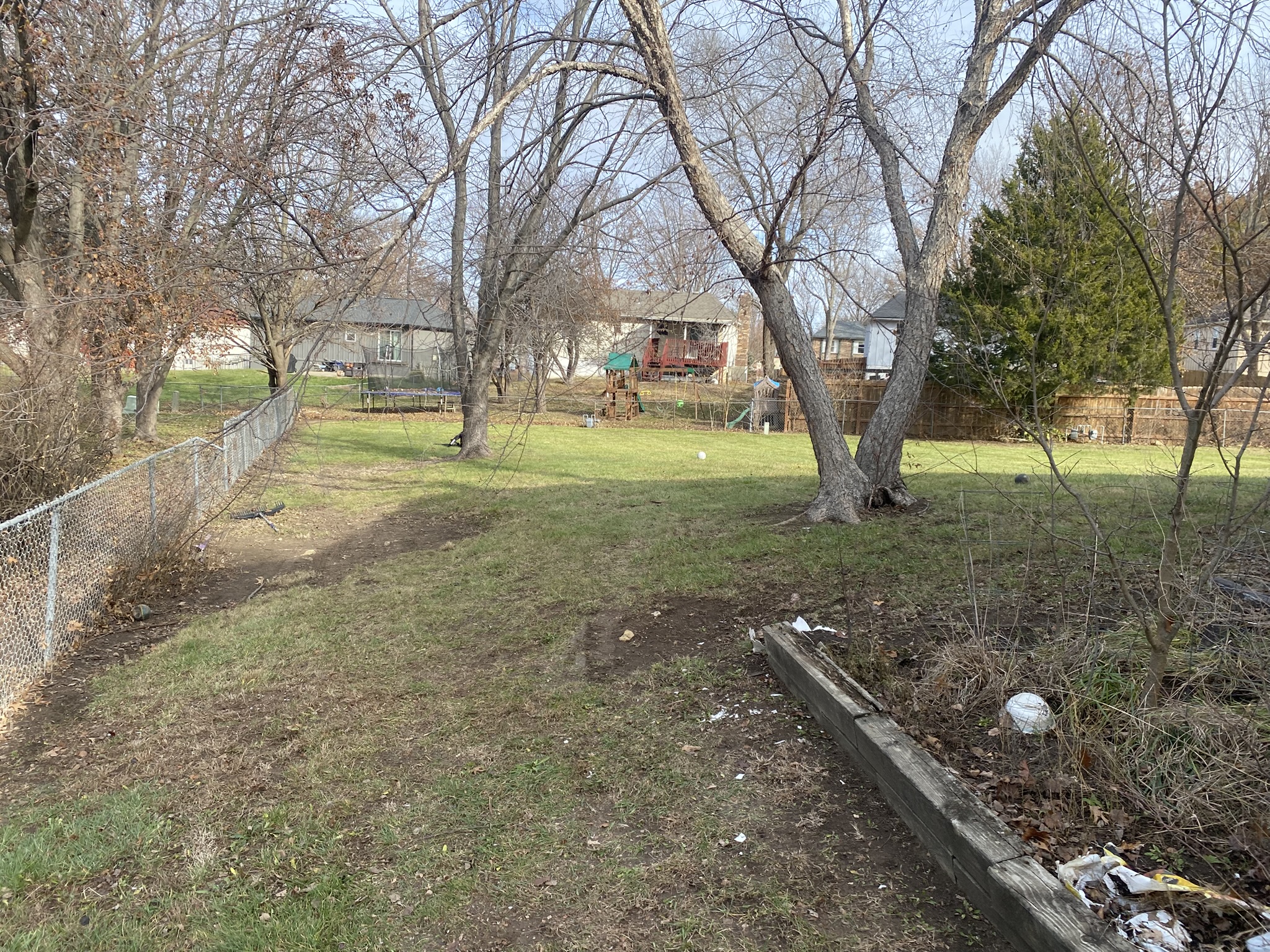 Backyard after leaf cleanup