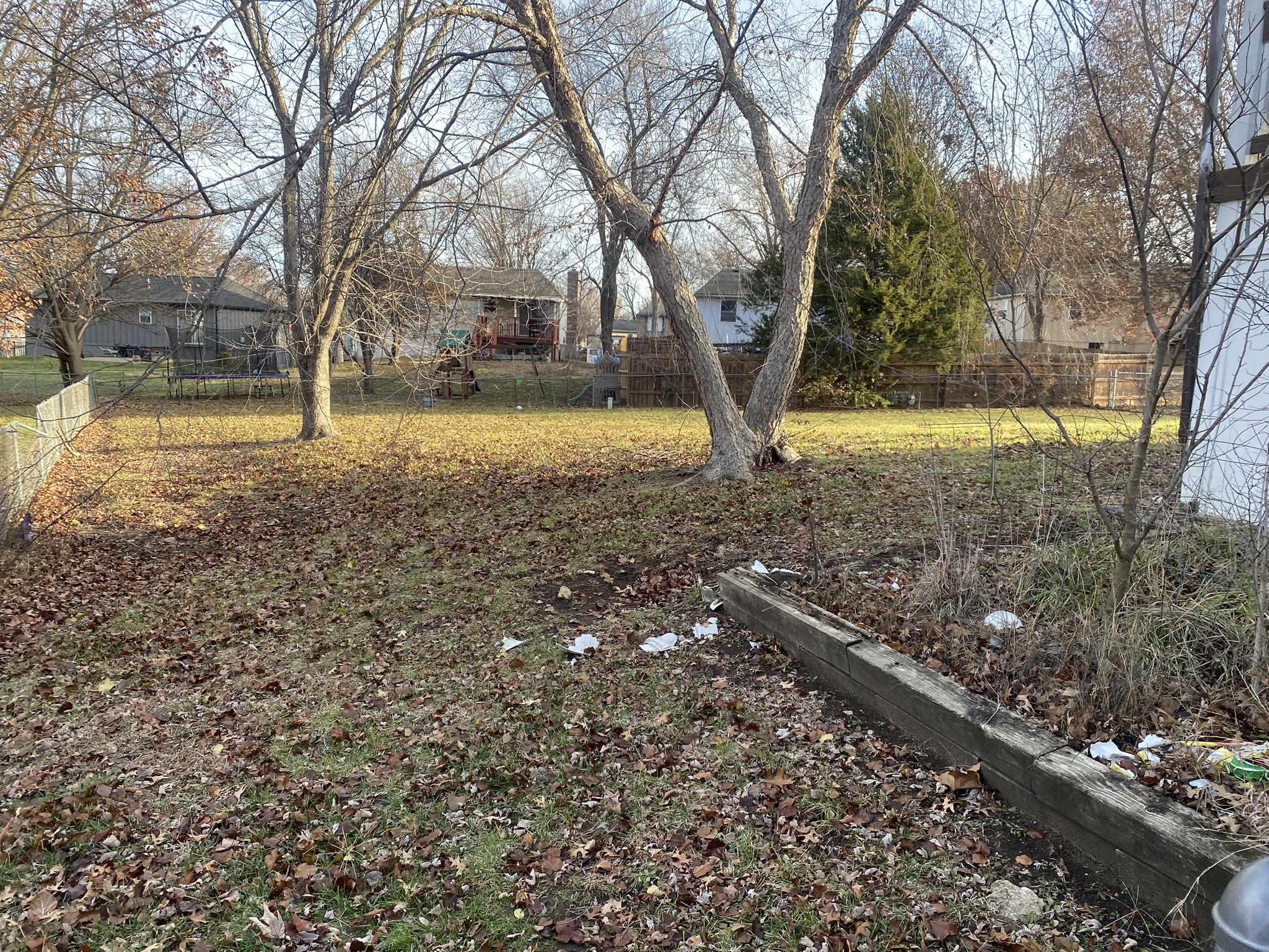 Backyard before leaf cleanup