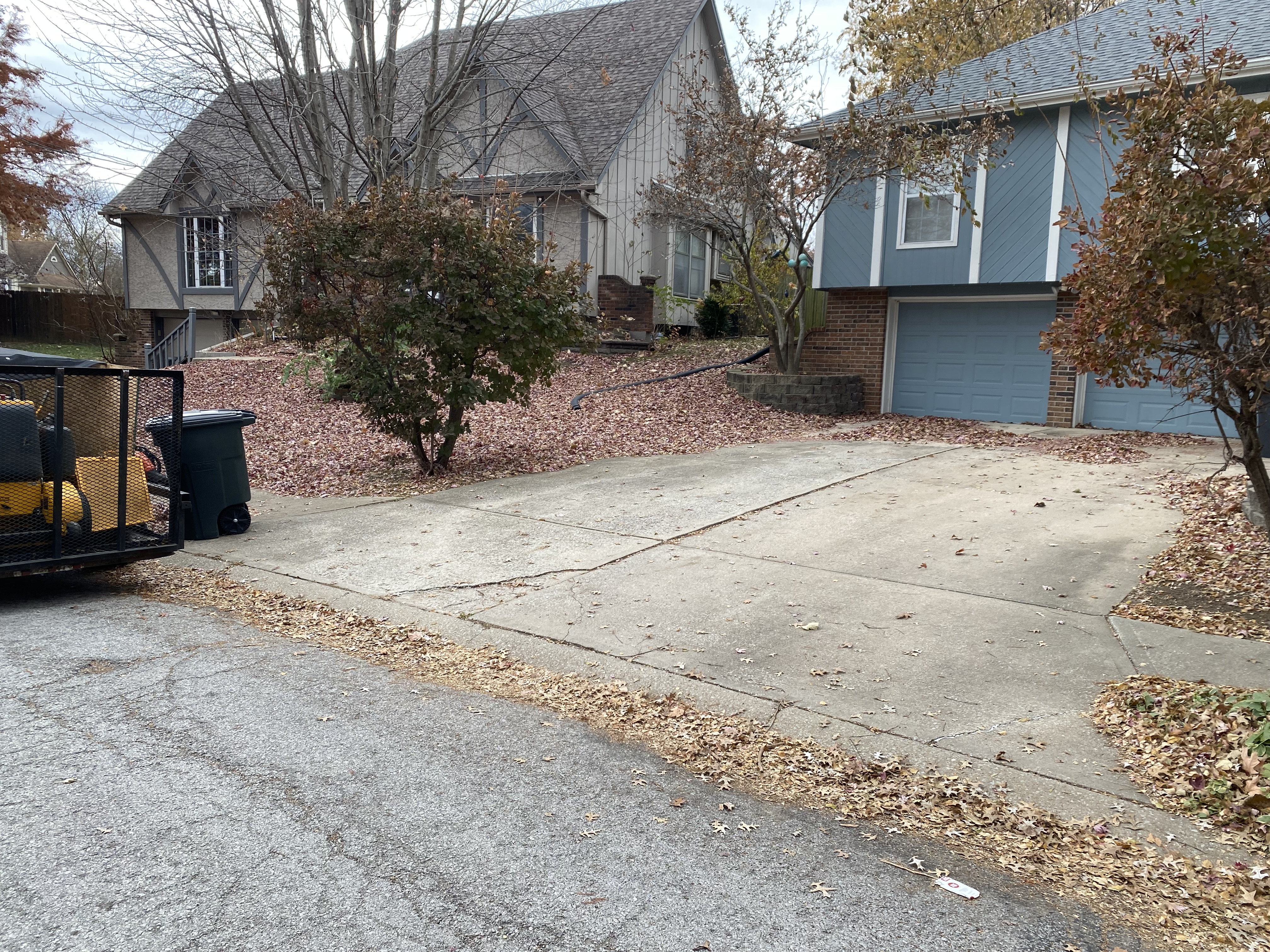 Driveway before leaf cleanup