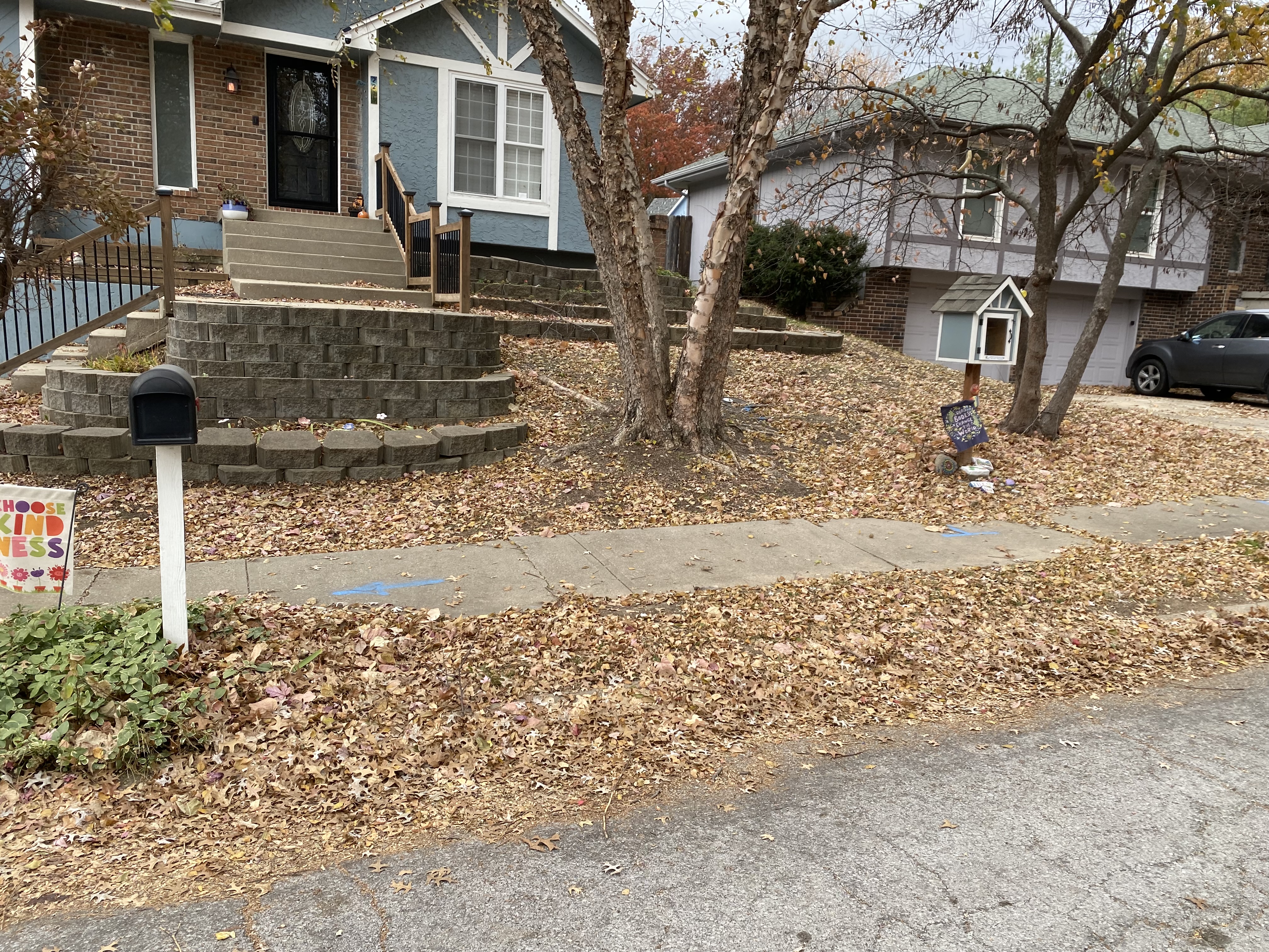 Front yard covered in leaves before cleanup