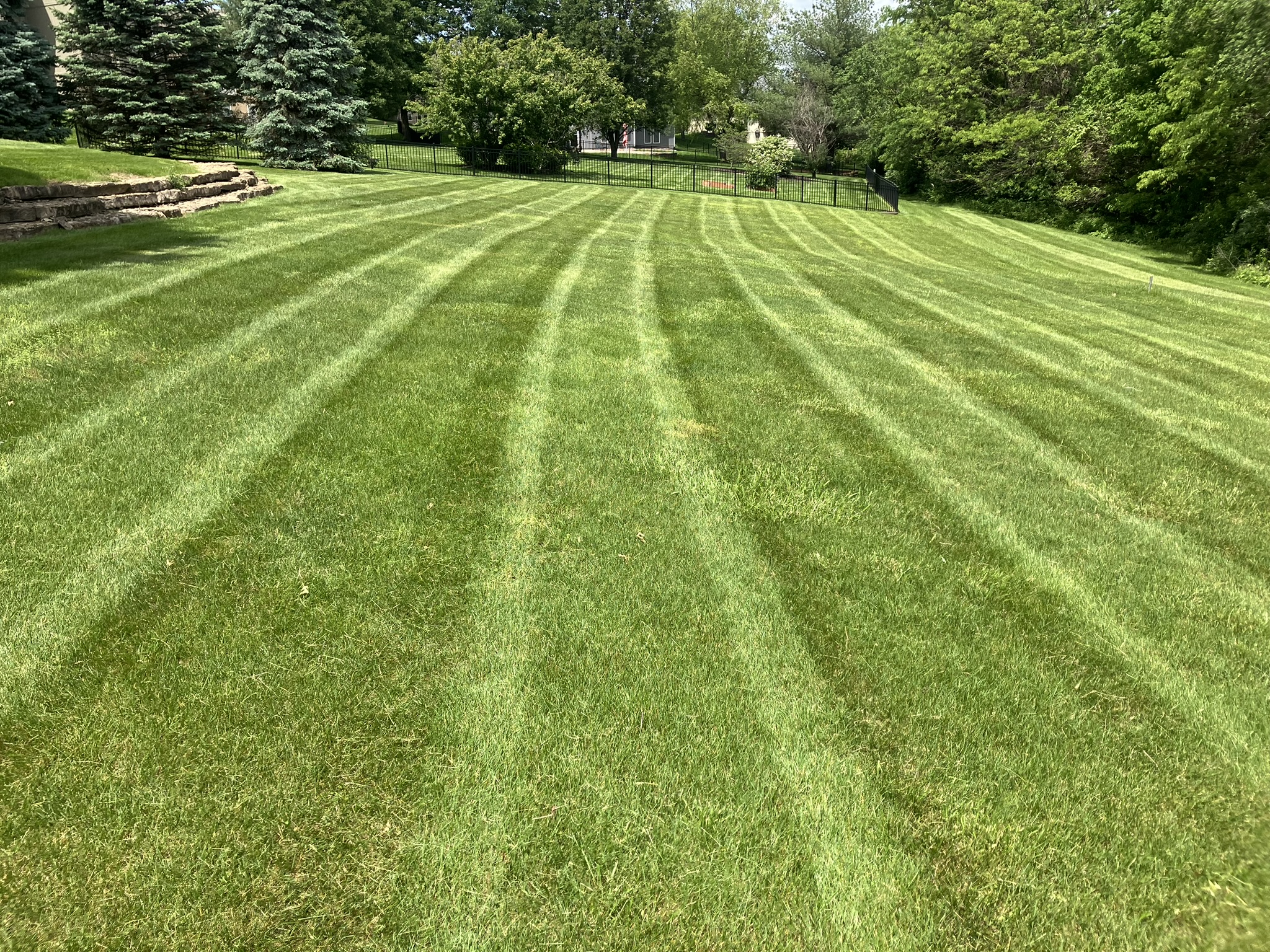 Large backyard mowing stripes