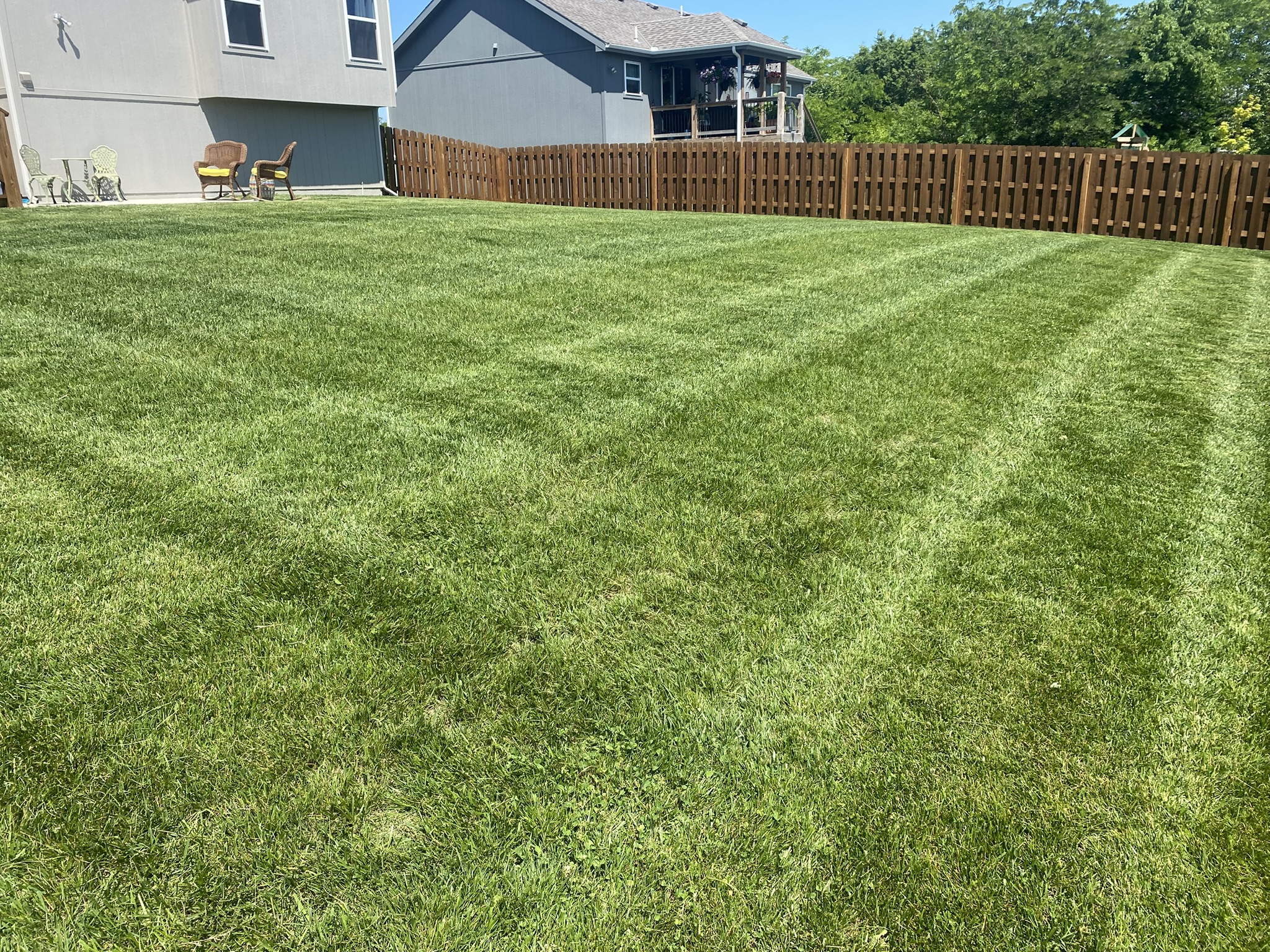 Wide open lawn stripes
